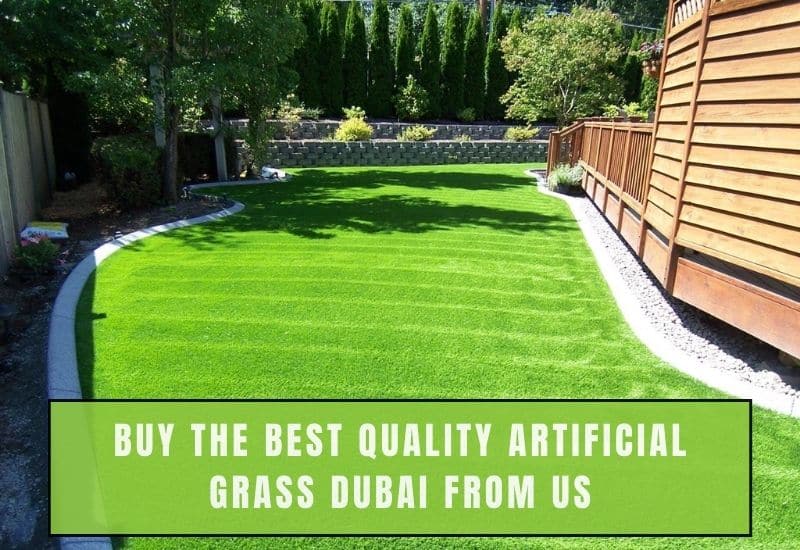 Buy The Best Quality Artificial Grass Dubai From Us