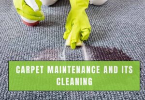 Carpet Maintenance And Its Cleaning
