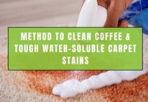 Method To Clean Coffee & Tough Water-soluble Carpet Stains