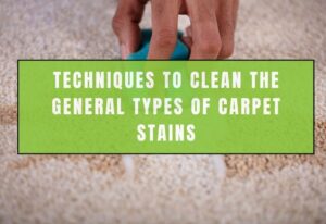 Techniques To Clean The General Types Of Carpet Stains