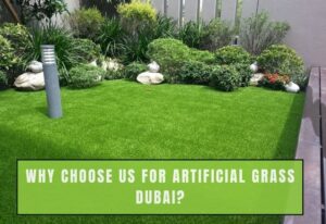 Why Choose Us For Artificial Grass Dubai