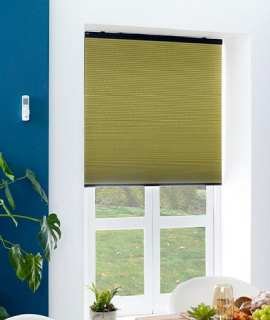 Motorized Blinds for living room