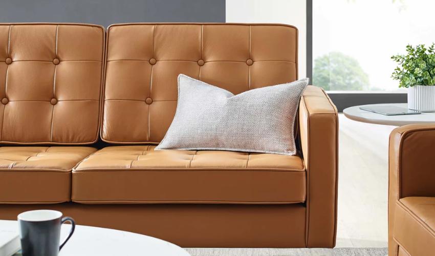 Make Cushions Unattractive For Scratching