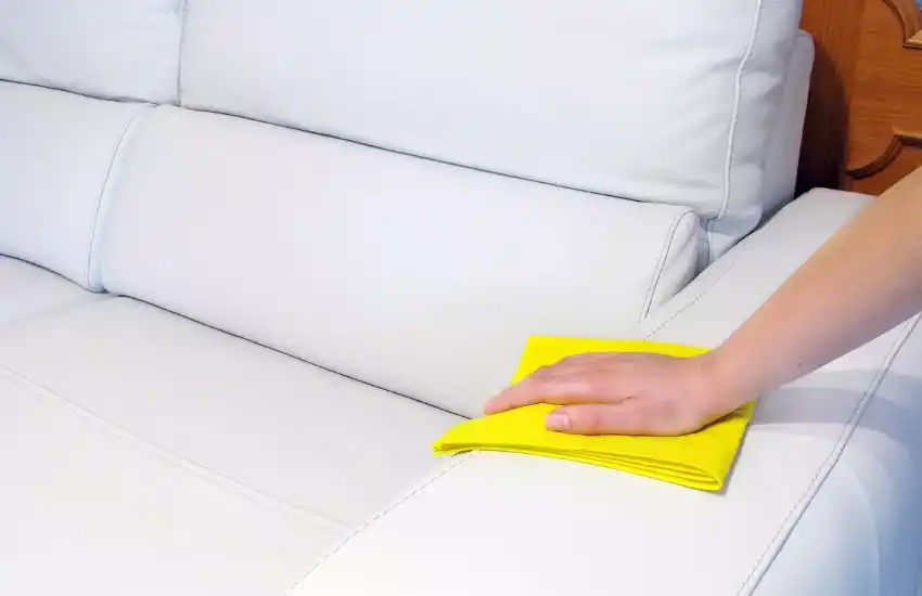 Mold Stains