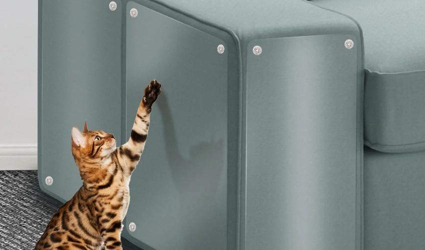 Use Cat Scratch Guard On Furniture