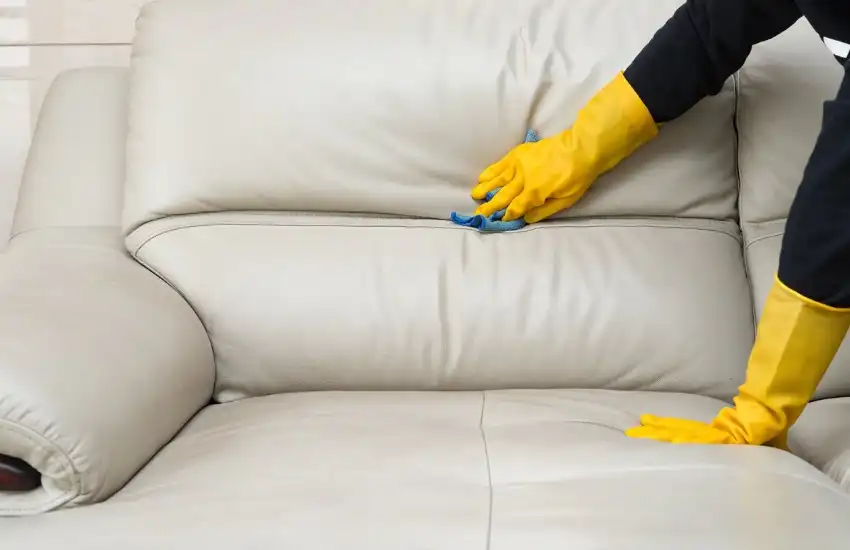 Wipe the Leather With A Damp Cloth