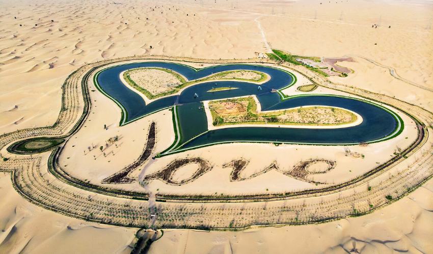 Al Qudra Lakes An Oasis in the Desert