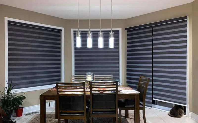 Motorized Window Blinds