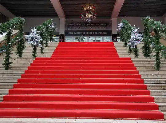 Premium red carpet with a rich hue for special occasions