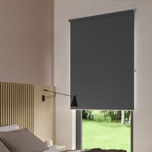 Dark Grey Single Panle roller blind in a window