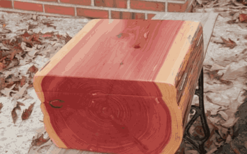 Cedar