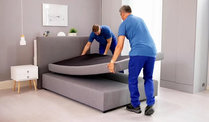Furniture Delivery & Installation